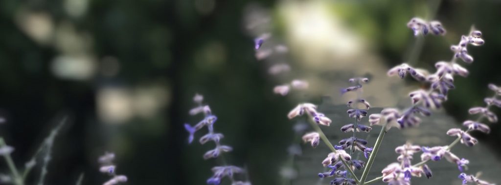 Letting Go of Right or Wrong - Notice the intuitive signs